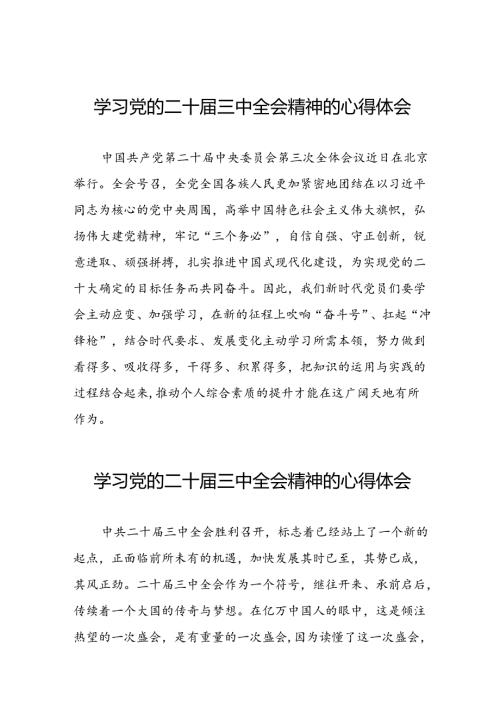 最新版学习贯彻党的二十三中全会精神心得感悟10篇.docx