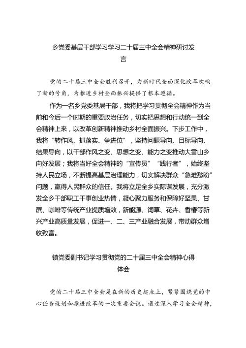 （9篇）乡党委基层干部学习学习二十三中全会精神研讨发言（详细版）.docx