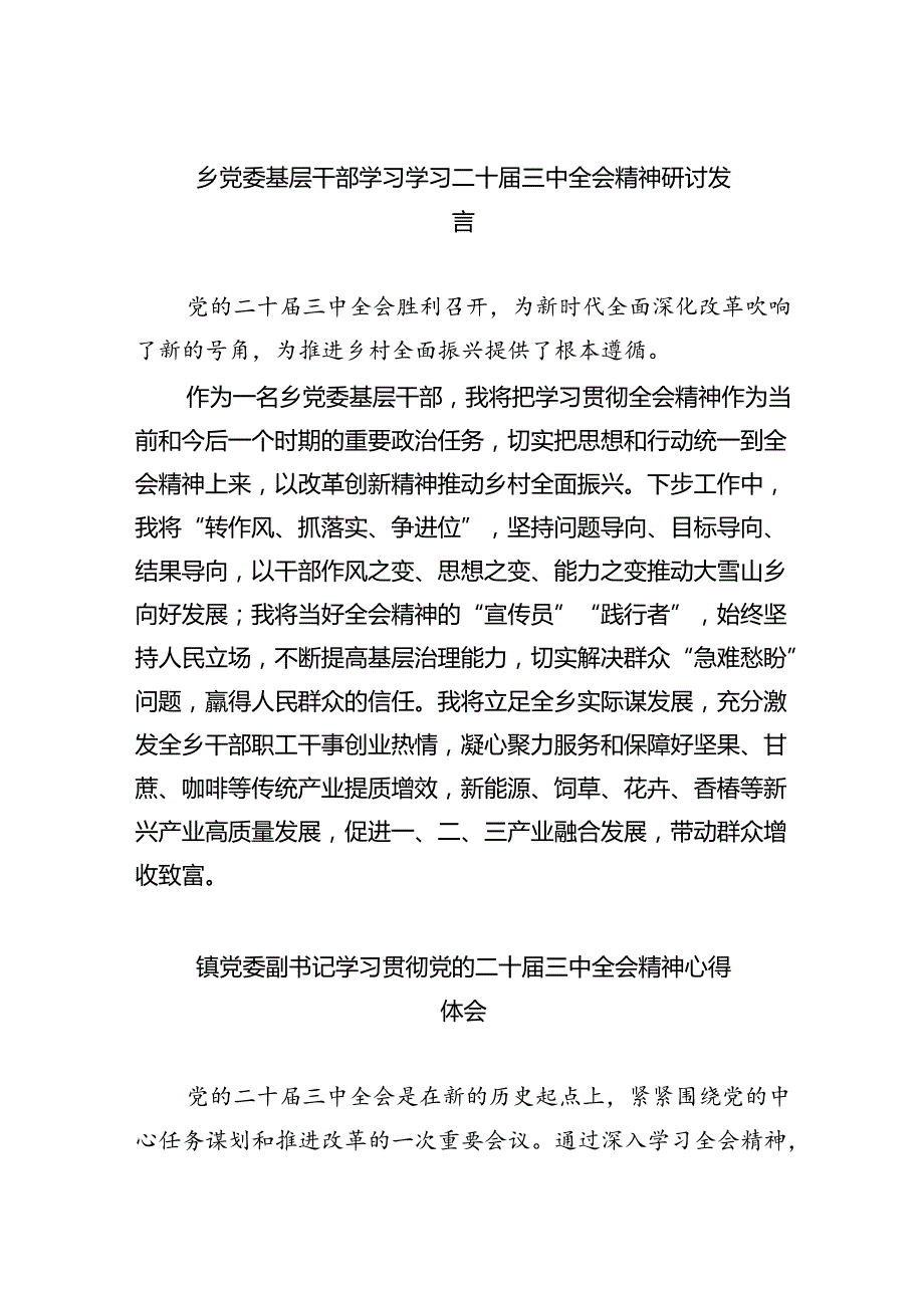 （9篇）乡党委基层干部学习学习二十三中全会精神研讨发言（详细版）.docx_第1页