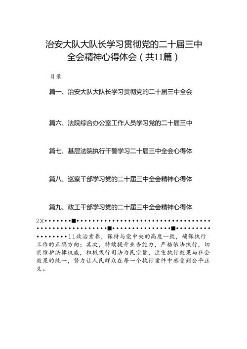 （11篇）治安大队大队长学习贯彻党的二十三中全会精神心得体会范文.docx