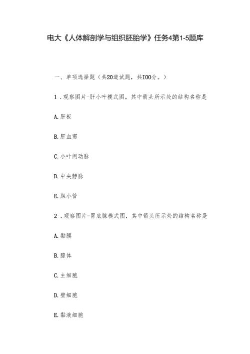 电大《人体解剖学与组织胚胎学》任务4第15题库.docx
