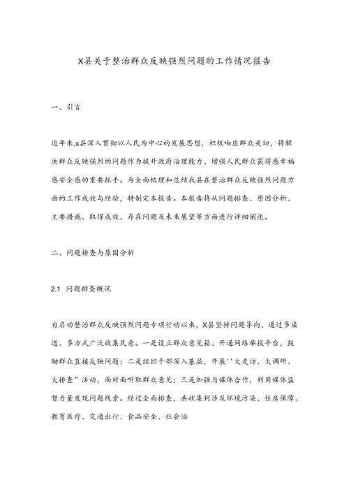 X县关于整治群众反映强烈问题的工作情况报告.docx
