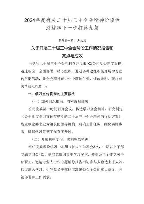 2024有关二十三中全会精神阶段性总结和下一步打算九篇.docx