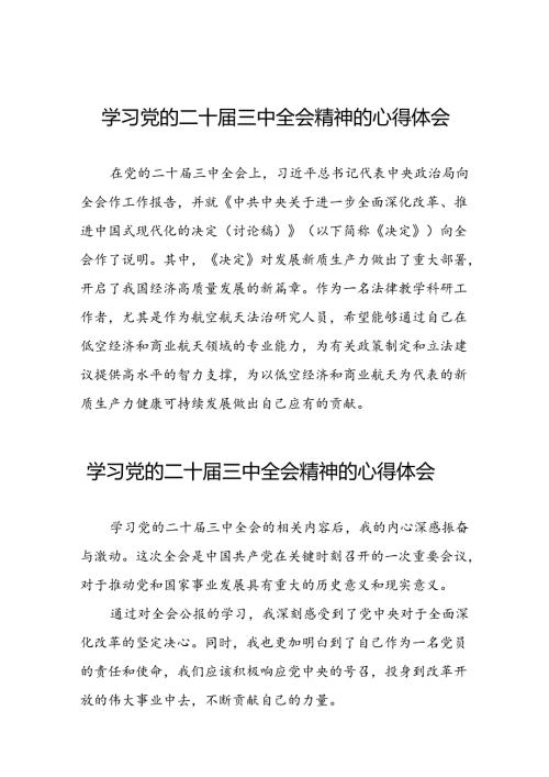二十三中全会精神心得体会发言二十七篇.docx