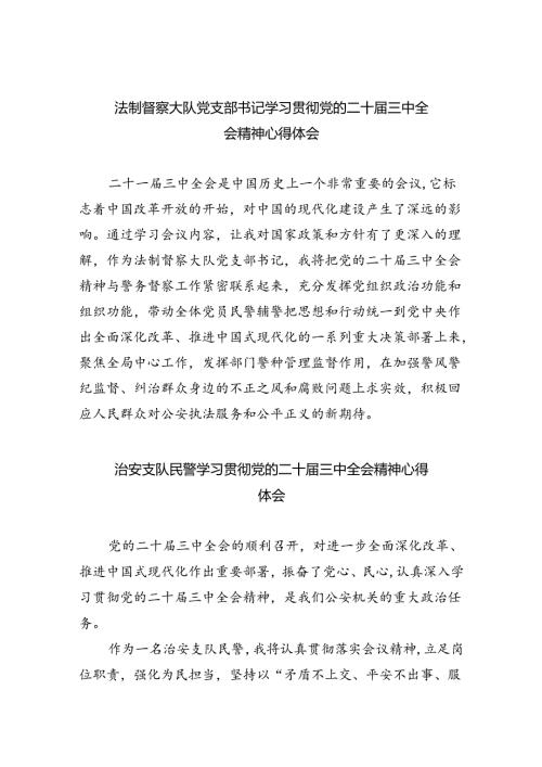 （9篇）法制督察大队党支部书记学习贯彻党的二十三中全会精神心得体会（精选）.docx
