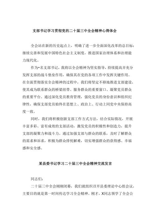 （11篇）支部书记学习贯彻党的二十三中全会精神心得体会（详细版）.docx