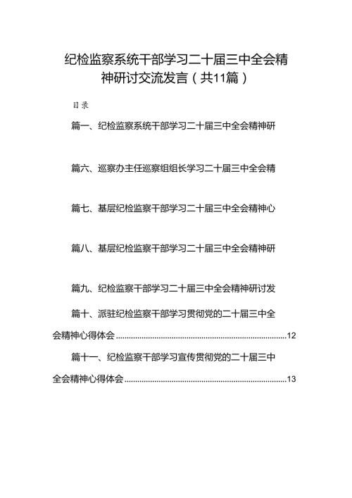 （11篇）纪检监察系统干部学习二十三中全会精神研讨交流发言（精选）.docx