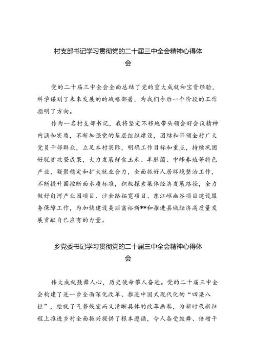 （9篇）村支部书记学习贯彻党的二十三中全会精神心得体会汇编.docx
