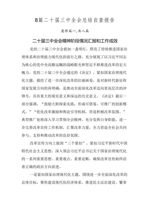 8篇二十三中全会总结自查报告.docx