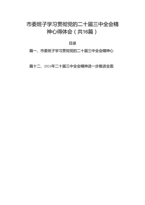 市委班子学习贯彻党的二十三中全会精神心得体会（共16篇）.docx