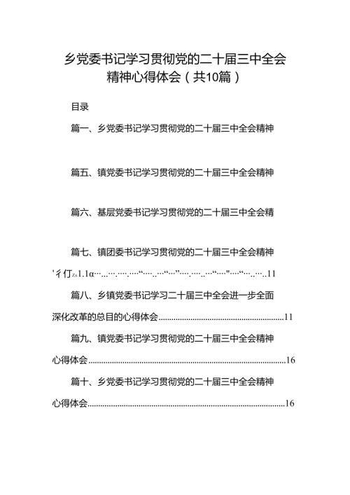 乡党委书记学习贯彻党的二十三中全会精神心得体会10篇（详细版）.docx