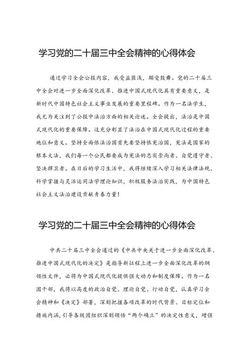 2024年党的二十三中全会精神学习体会范本四十篇.docx