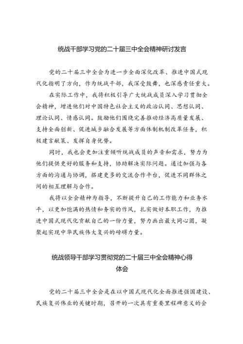 （9篇）统战干部学习党的二十三中全会精神研讨发言（精选）.docx