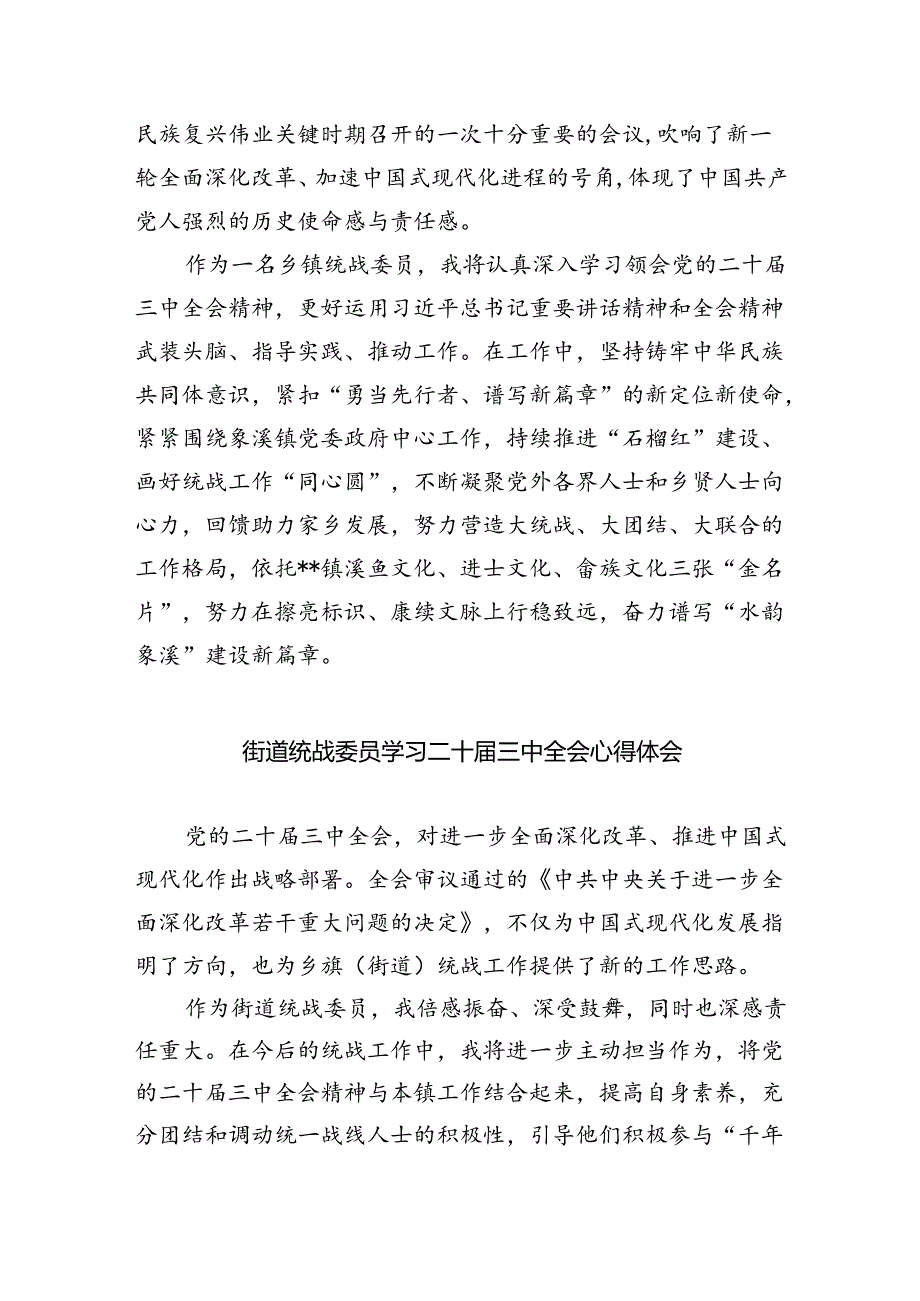 （9篇）统战干部学习党的二十三中全会精神研讨发言（精选）.docx_第3页
