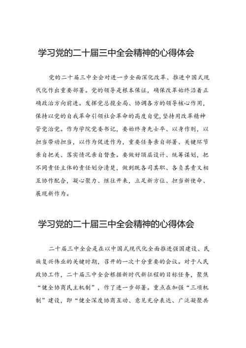 学习党的二十三中全会心得感悟发言稿四十篇.docx