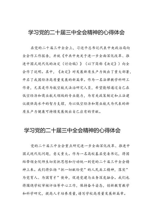 二十三中全会精神心得体会发言25篇.docx