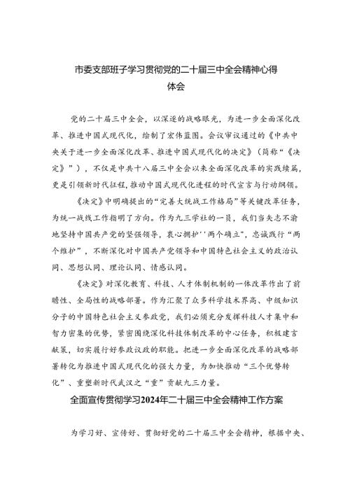 （8篇）市委支部班子学习贯彻党的二十三中全会精神心得体会范文.docx