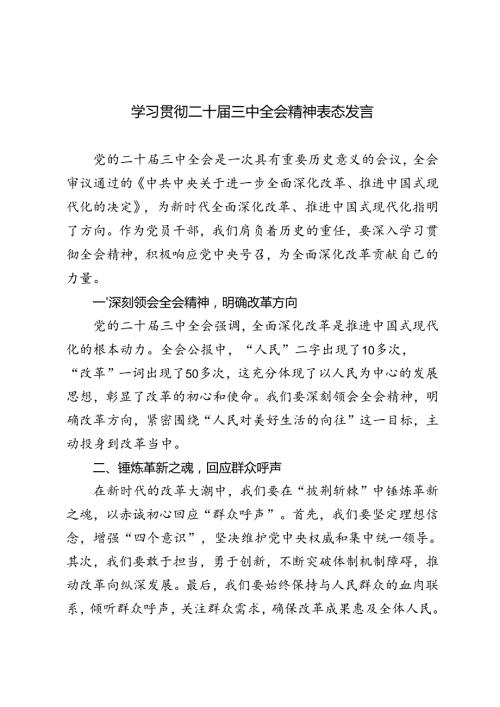 4篇 2024年学习贯彻二十三中全会精神表态发言稿(1).docx