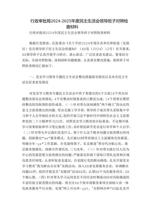 行政审批局20242025民主生活会领导班子对照检查材料.docx