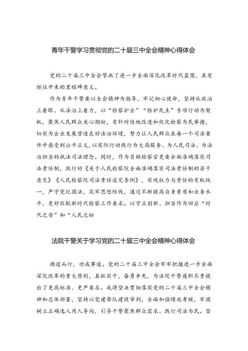 青年干警学习贯彻党的二十三中全会精神心得体会8篇（精选版）.docx