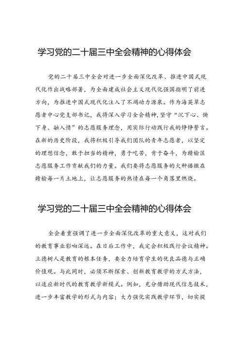 2024年党的二十三中全会精神学习感悟最新版四十篇.docx