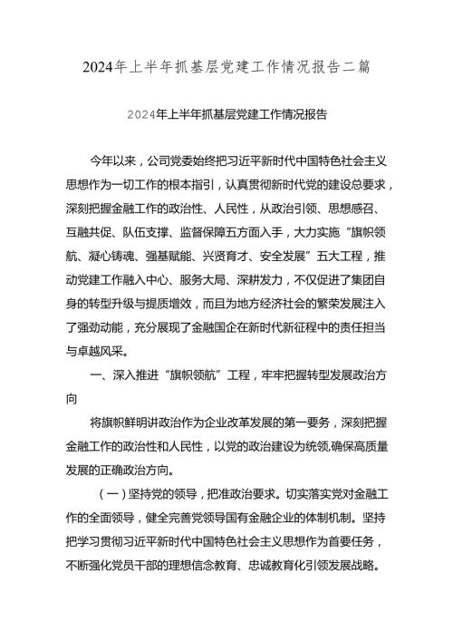 2024年上半年抓基层党建工作情况报告二篇.docx