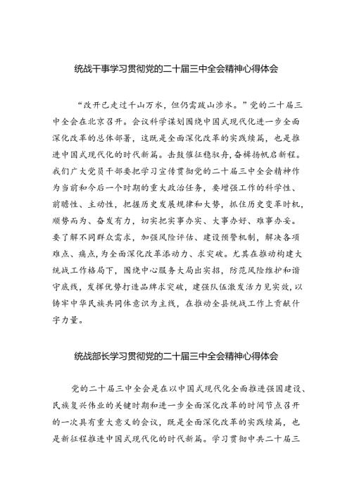 统战干事学习贯彻党的二十三中全会精神心得体会8篇（精选）.docx