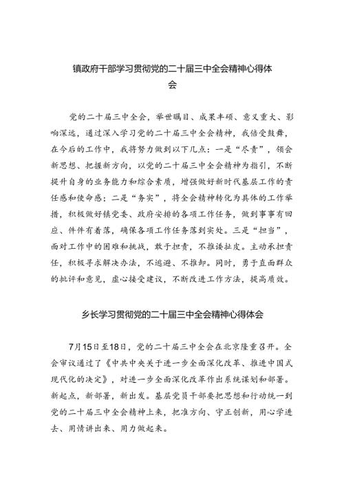 （9篇）镇政府干部学习贯彻党的二十三中全会精神心得体会（最新版）.docx