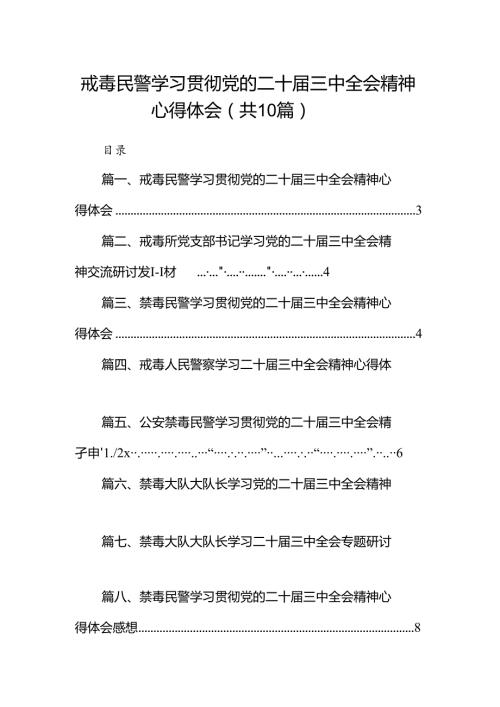 （10篇）戒毒民警学习贯彻党的二十三中全会精神心得体会范文.docx