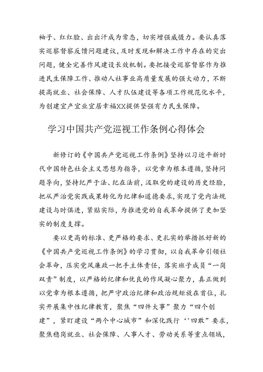 乡镇党员干部学习《中国共产党巡视工作条例》心得体会 （7份）.docx_第2页