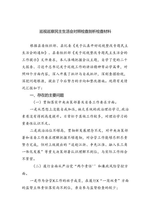 （10篇）巡视巡察民主生活会对照检查剖析检查材料汇编.docx