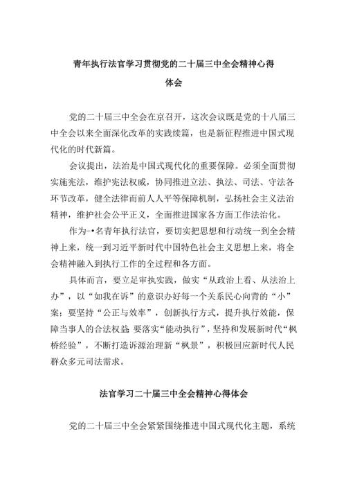 （11篇）青年执行法官学习贯彻党的二十三中全会精神心得体会范文.docx