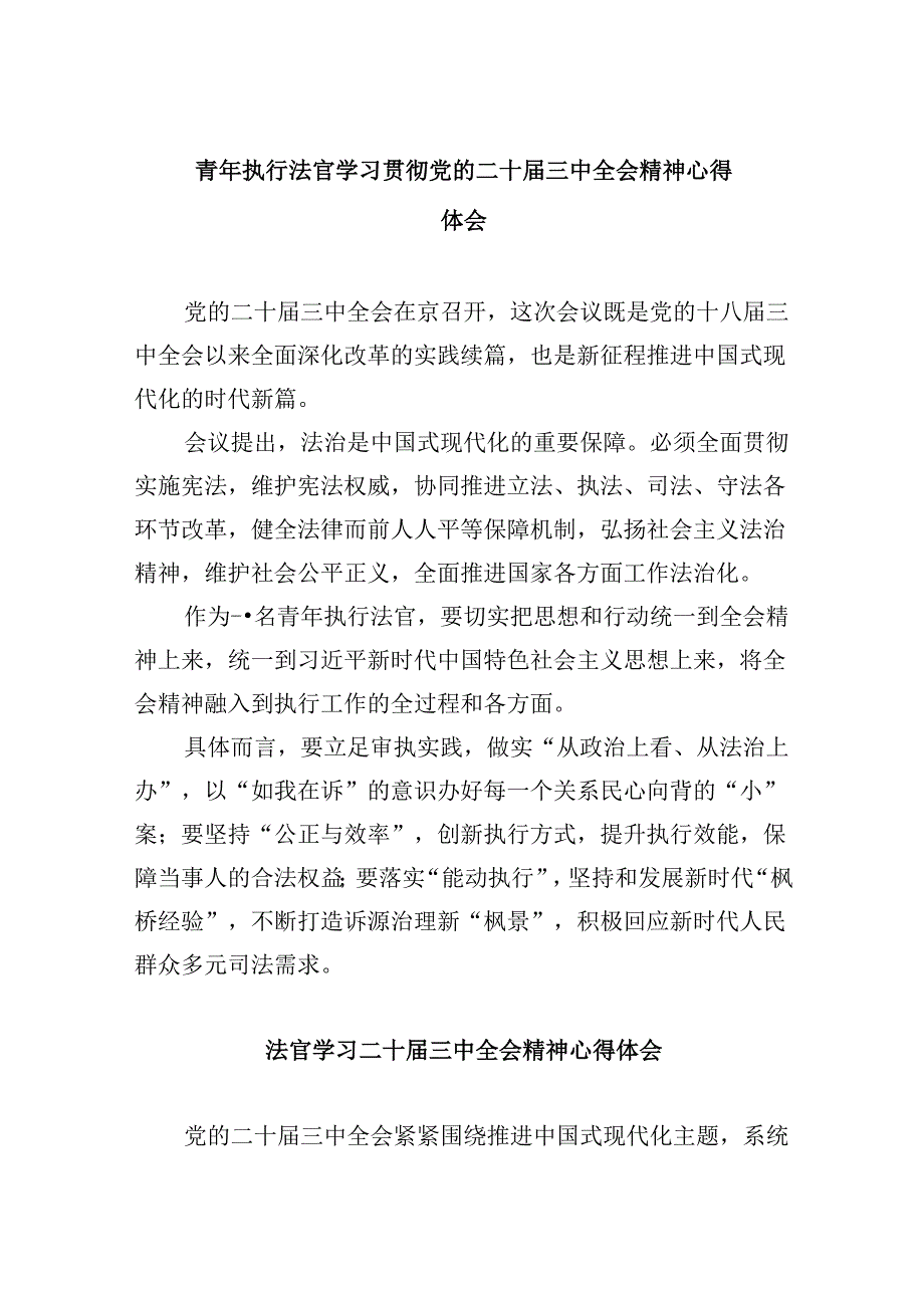 （11篇）青年执行法官学习贯彻党的二十三中全会精神心得体会范文.docx_第1页