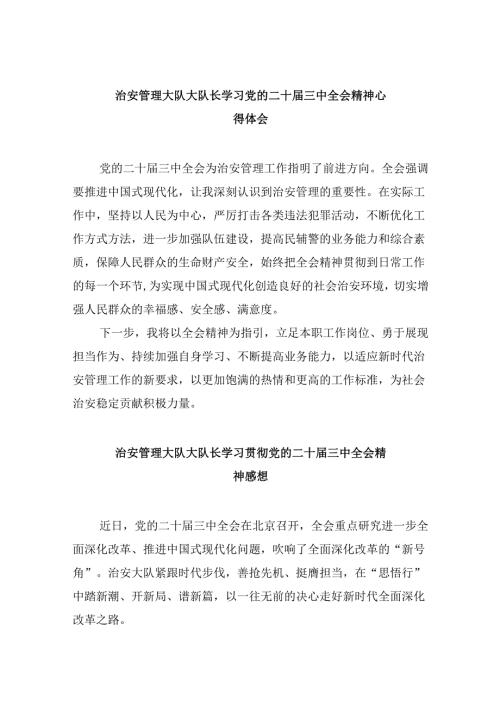 （11篇）治安管理大队大队长学习党的二十三中全会精神心得体会范文.docx