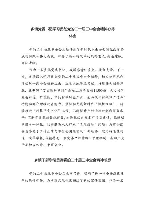 （9篇）乡镇党委书记学习贯彻党的二十三中全会精神心得体会(完整版).docx