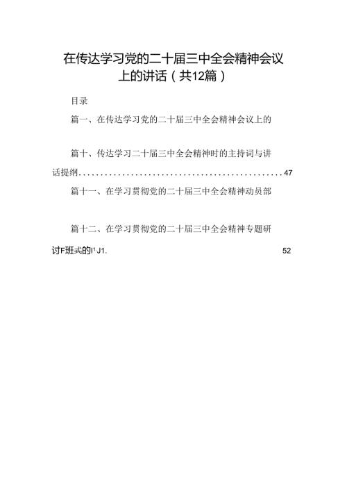 (12篇)在传达学习党的二十三中全会精神会议上的讲话范文.docx