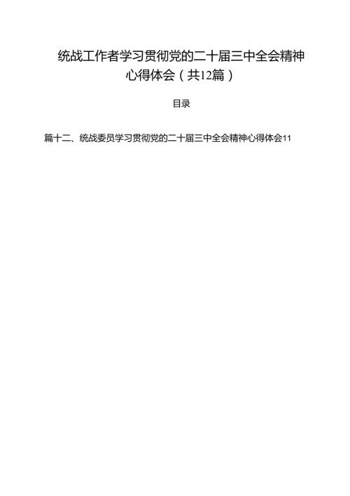 统战工作者学习贯彻党的二十三中全会精神心得体会12篇（详细版）.docx