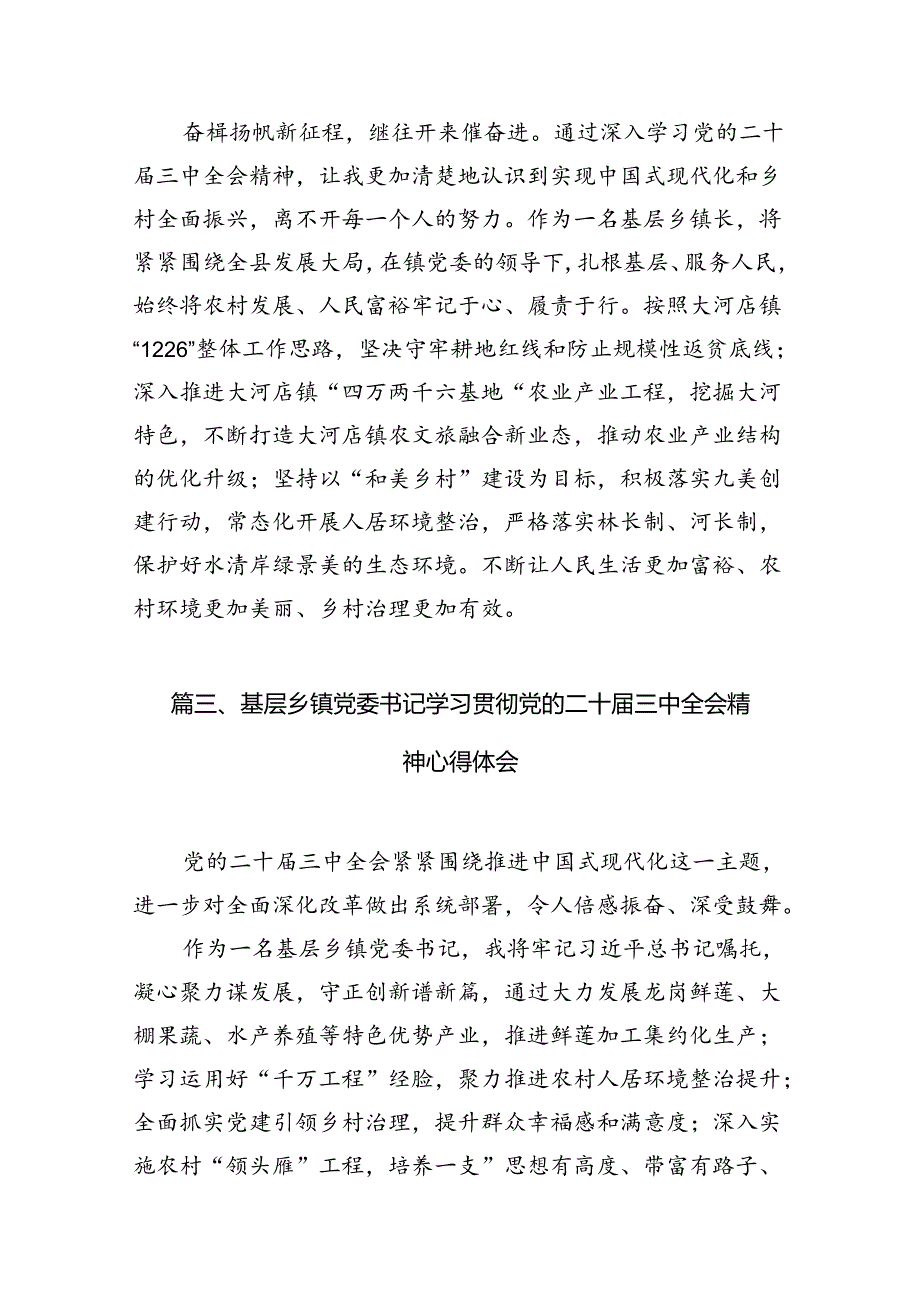 （10篇）镇长学习党的二十三中全会精神心得体会研讨发言（精选）.docx_第3页
