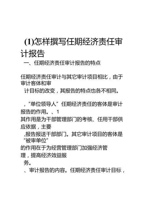 怎样撰写任期经济责任审计报告(1).docx