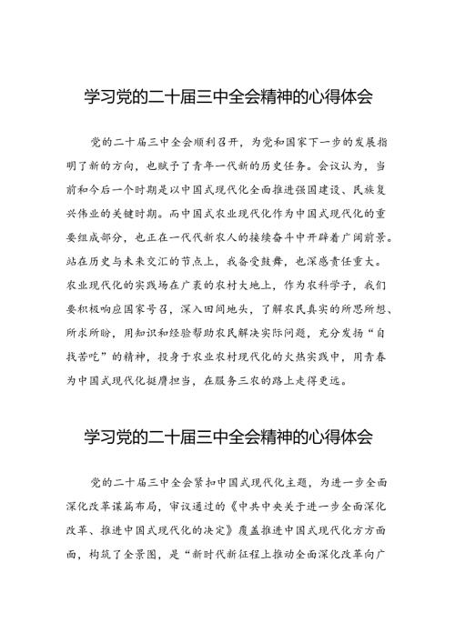 学习党的二十三中全会精神的心得体会发言稿四十篇.docx