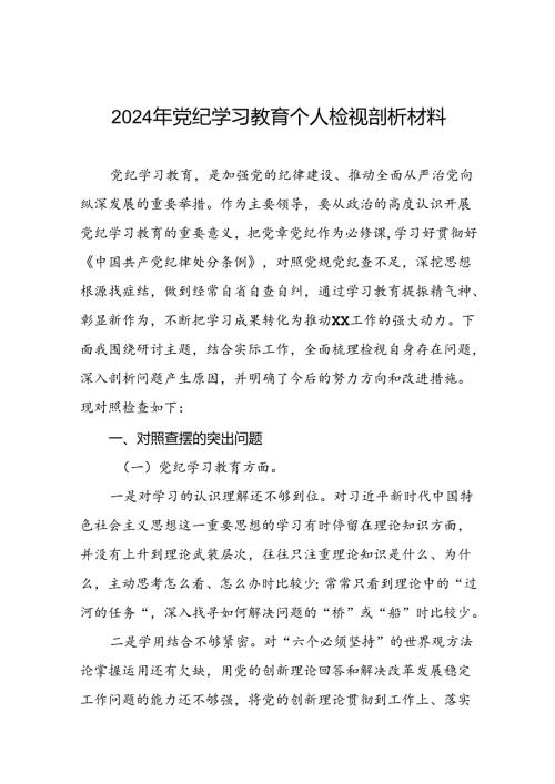 2024党纪学习教育专题民主生活会问题检视发言提纲十四篇.docx