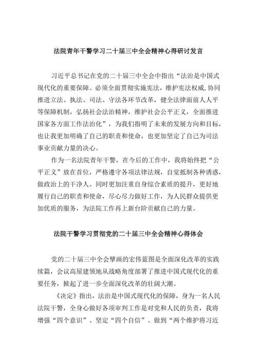 （12篇）法院青年干警学习二十三中全会精神心得研讨发言（精选）.docx