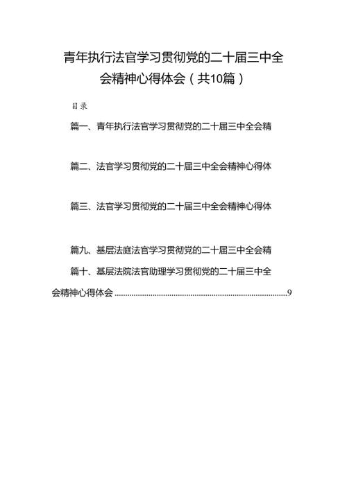 青年执行法官学习贯彻党的二十三中全会精神心得体会10篇（精选）.docx