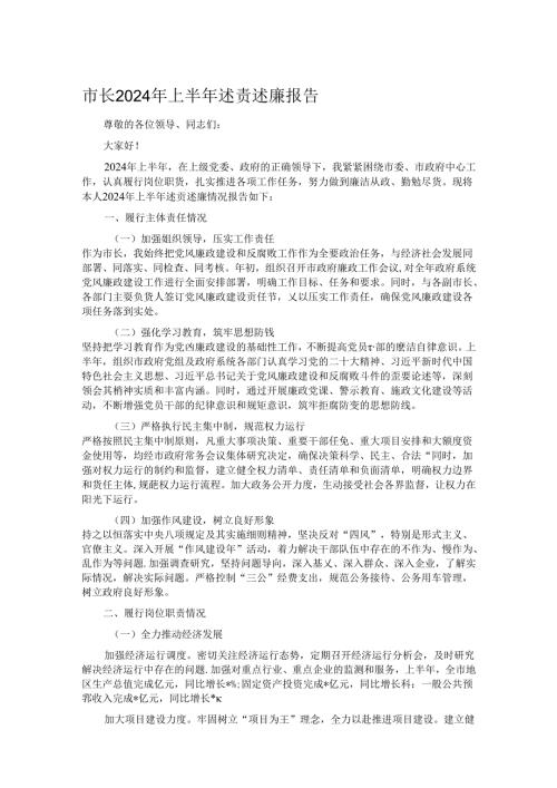 市长2024年上半年述责述廉报告.docx