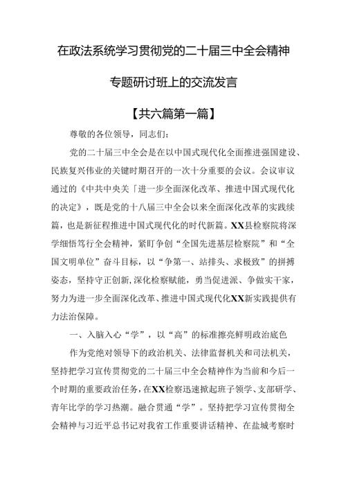（6篇）在政法系统学习贯彻党的二十三中全会精神专题研讨班上的交流发言.docx