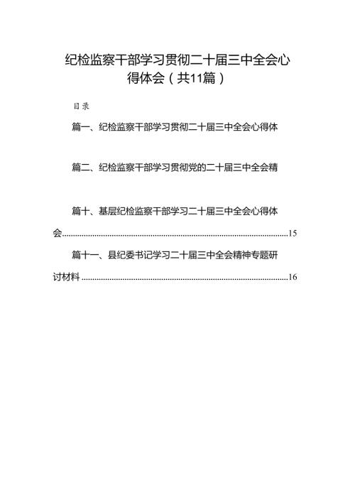（11篇）纪检监察干部学习贯彻二十三中全会心得体会（最新版）.docx