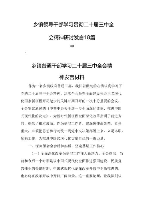 乡镇领导干部学习贯彻二十三中全会精神研讨发言18篇.docx