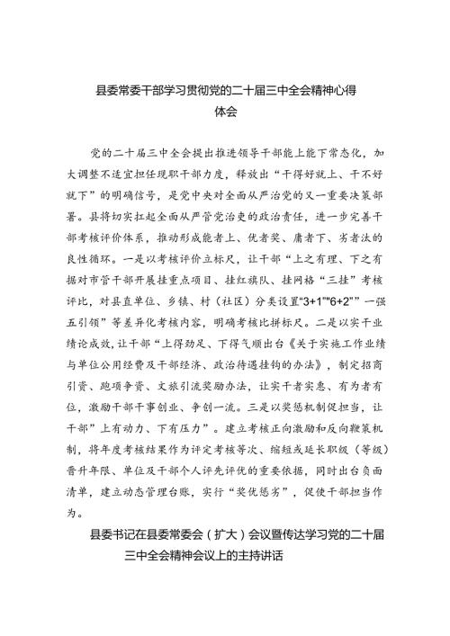 县委常委干部学习贯彻党的二十三中全会精神心得体会（共五篇）.docx