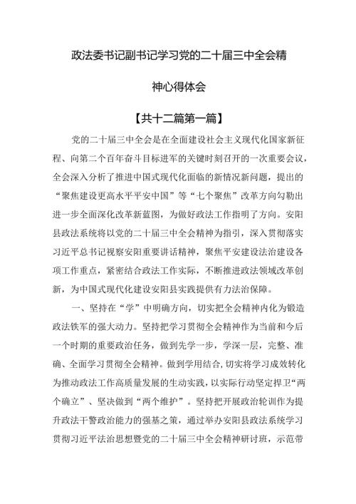 （12篇）政法委书记副书记学习党的二十三中全会精神心得体会.docx