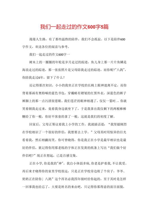我们一起走过的作文600字5篇.docx